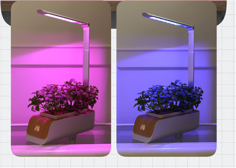 hydroponics growing system