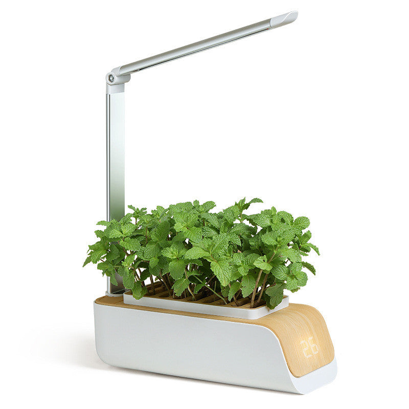 hydroponics growing system