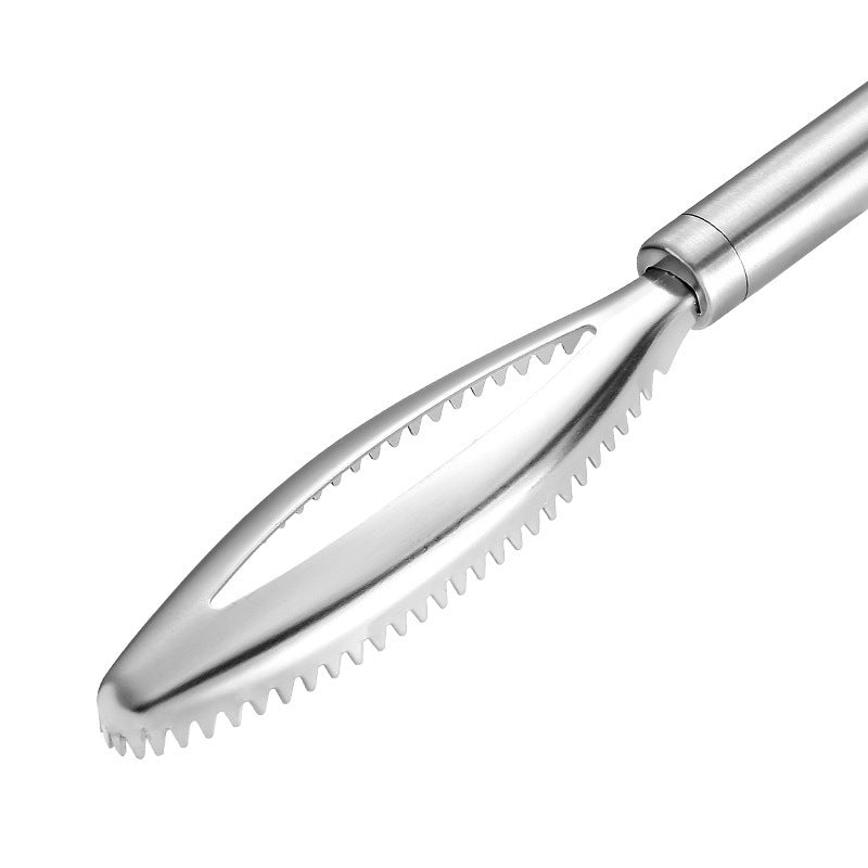 Stainless Steel Fish Scale Stainless 