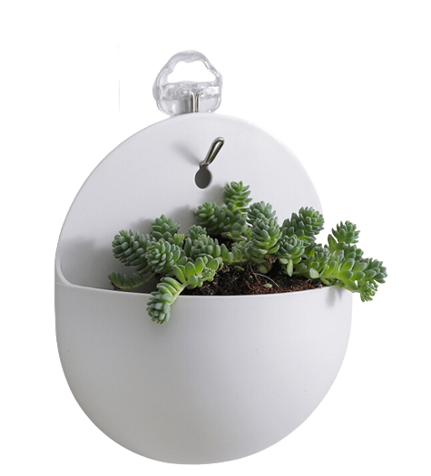 Wall-mounted Hanging Plant Pot