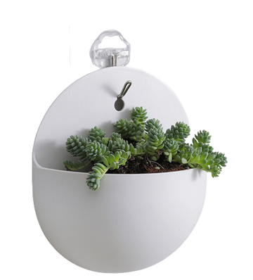 Wall-mounted Hanging Plant Pot