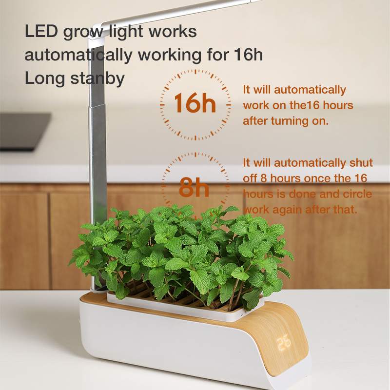 hydroponics growing system