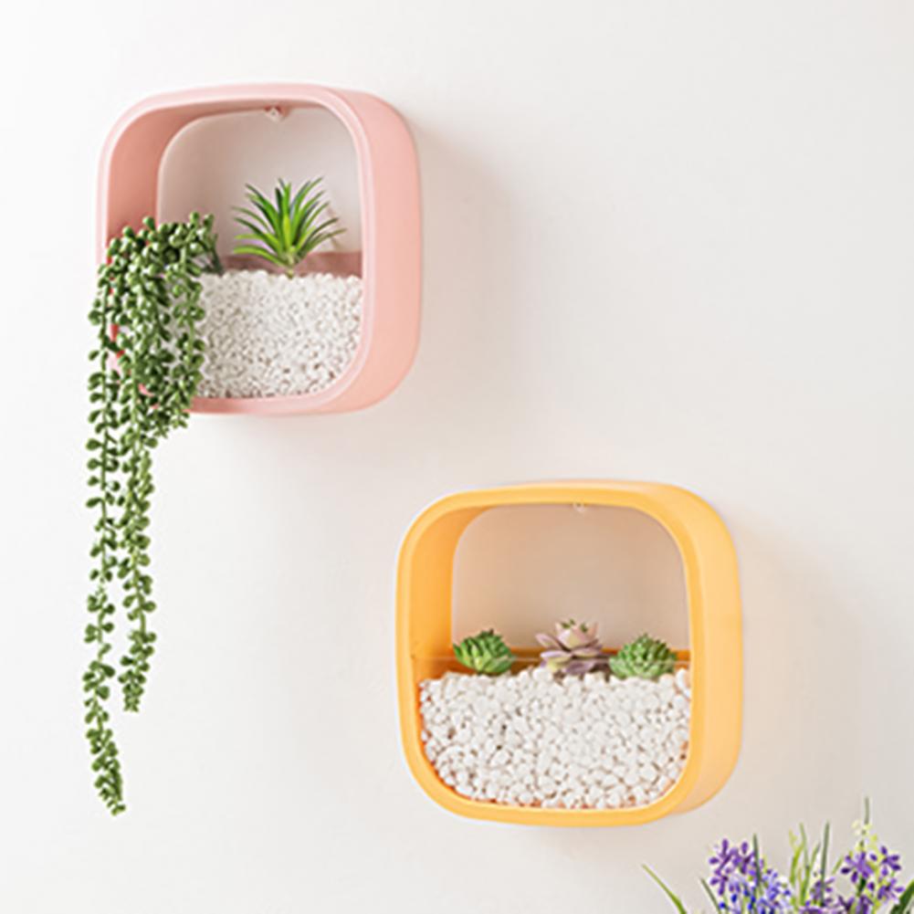 hydroponic wall hanging vase