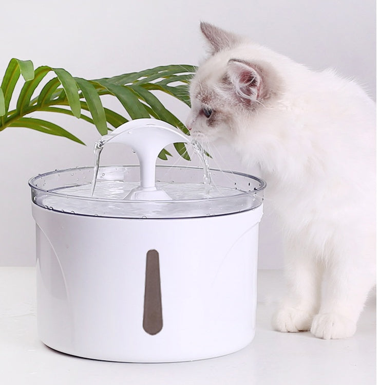 Intelligent Pet Water Fountain