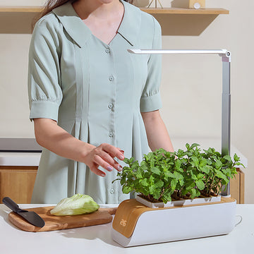 hydroponics growing system hydroponics growing system